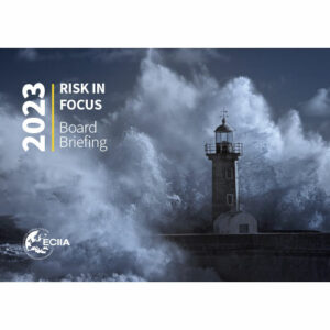 BOARD BRIEFING: Risk in Focus 2023