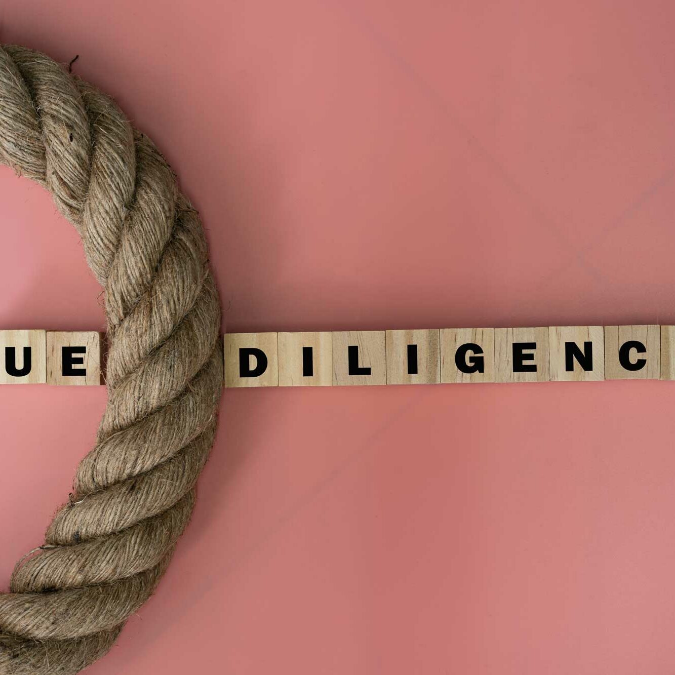 due-dilligence